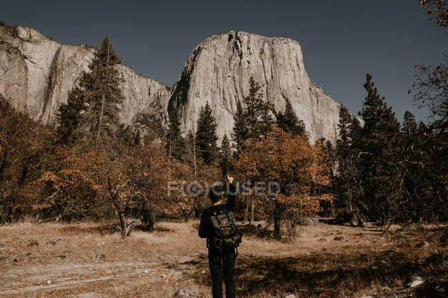 Vista traseira do turista em pé no prado da montanha da floresta — Fotografia de Stock