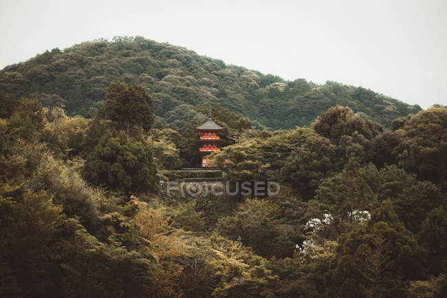 View to red bright traditional Asian pagoda on hill with green forest. — Stock Photo