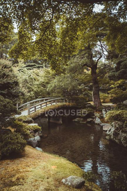 Piccolo ponte sul piccolo fiume nel verde dei boschi — Foto stock