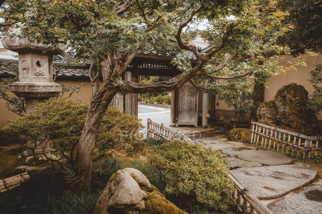 Вид на вымощенную дорожку в декоративном восточном саду с деревьями и памятниками . — стоковое фото