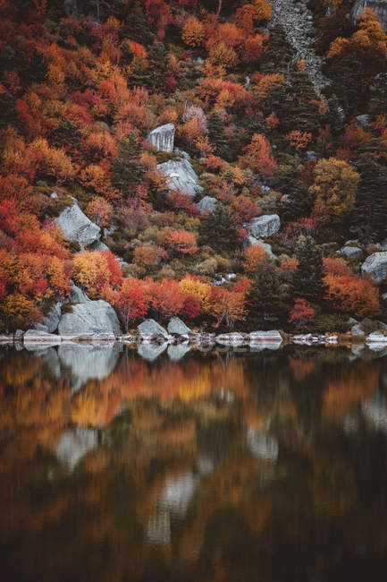 Vista al lago en la ladera de la colina con coloridos árboles otoñales - foto de stock