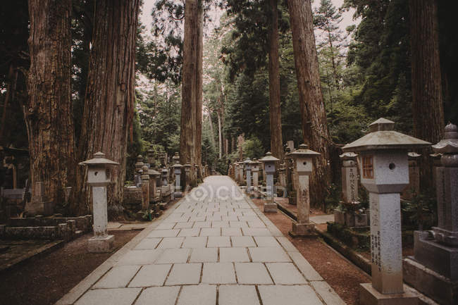Kleine traditionelle asiatische Pfähle entlang der Pflastergasse im grünen Wald. — Stockfoto
