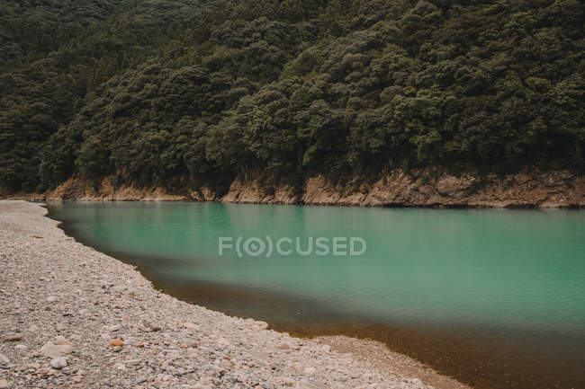 Вид на берег озера і блакитне озеро на горі з зеленим лісом . — стокове фото