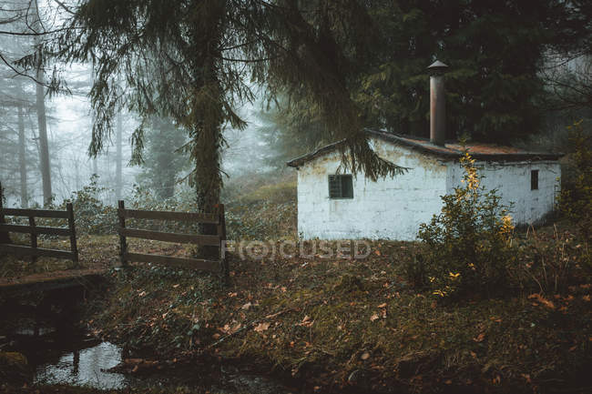 Abandoned rural house at misty woods — Stock Photo