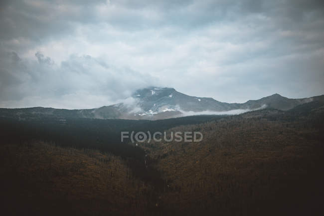 Vue panoramique de la vallée sombre de la forêt avec des montagnes sur le fond . — Photo de stock