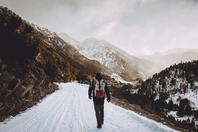 Вид ззаду туриста з рюкзаком, що йде по гірській дорозі — стокове фото
