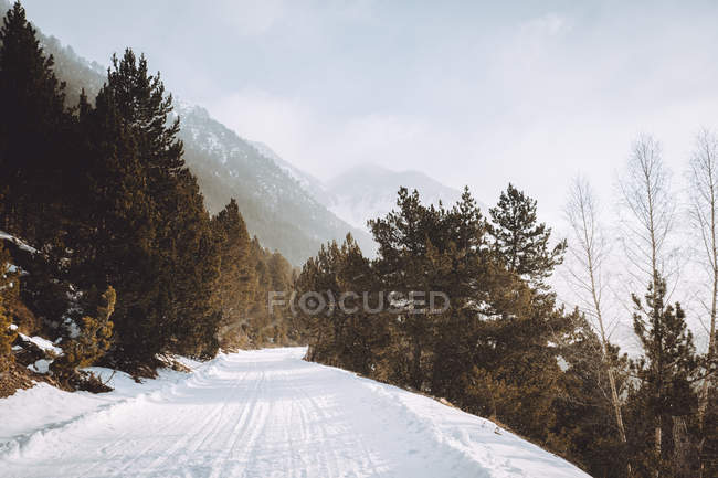 Estrada rural que corre ao longo de montanhas cobertas de neve nebulosa — Fotografia de Stock