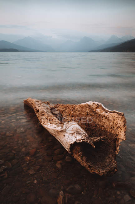 Vista de cerca del tronco seco en la orilla del lago de montaña - foto de stock
