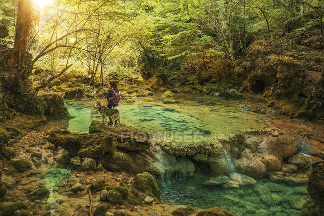 Unerkennbare Touristin posiert mit Hund an kleinen Flusskaskaden im sonnigen Wald. — Stockfoto