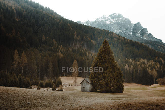 Landschaft mit kleiner Hütte auf ländlichem Feld mit Bergen im Hintergrund. — Stockfoto