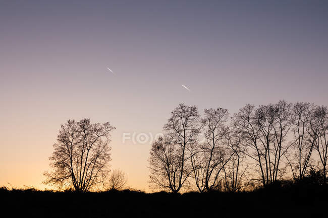 Silhouette di alberi in collina al tramonto — Foto stock