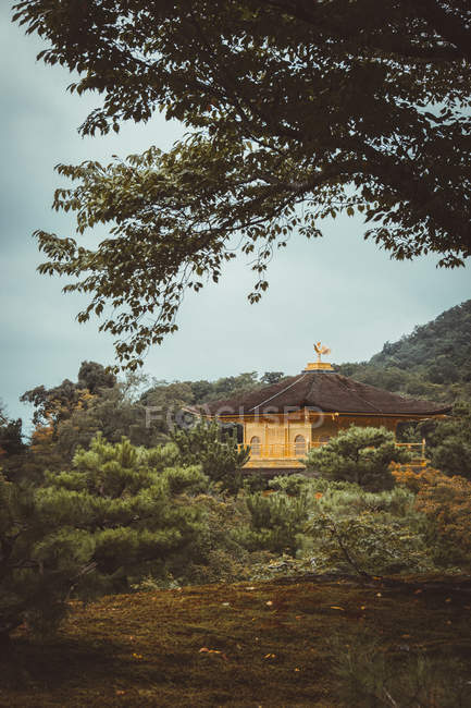Vista para amarelo pagode asiático tradicional na floresta verde . — Fotografia de Stock
