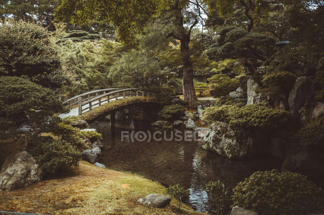 Pequena ponte de madeira sobre o rio na floresta verde . — Fotografia de Stock