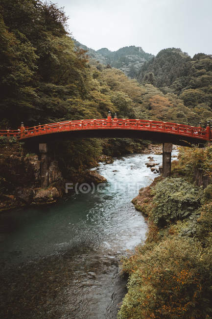 Rote Brücke über den Gebirgsfluss im grünen Wald. — Stockfoto