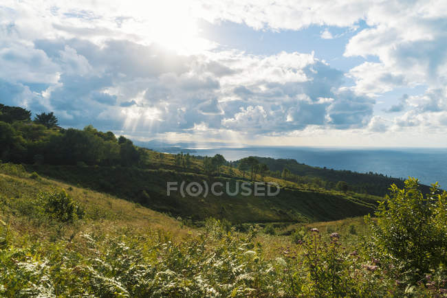 Vista a campi verdi su collina e strada rurale in giornata nuvolosa . — Foto stock