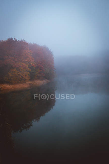 Paisagem de neblina lago e laranjeiras árvores de outono — Fotografia de Stock