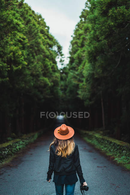 Visão traseira da mulher andando com câmera na estrada na floresta — Fotografia de Stock