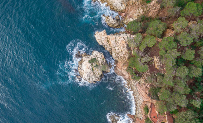 Vue aérienne des falaises côtières avec des arbres en Méditerranée — Photo de stock