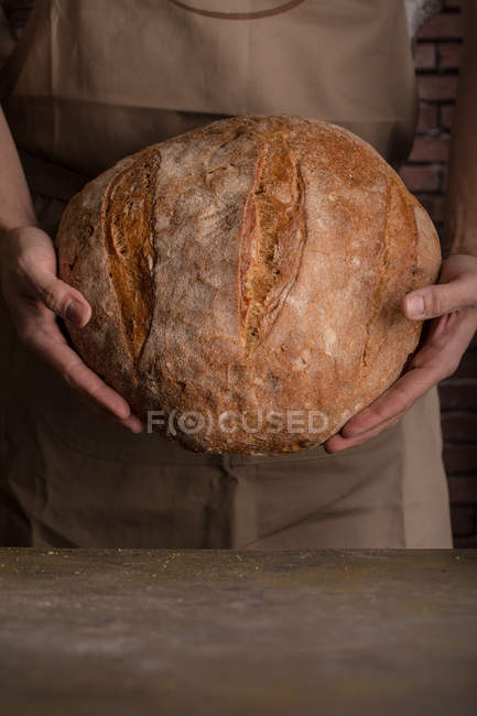Crop man holding freshly baked loaf of bread — Stock Photo
