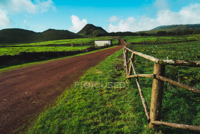 Живописная сельская сцена зеленого поля и холмов — стоковое фото