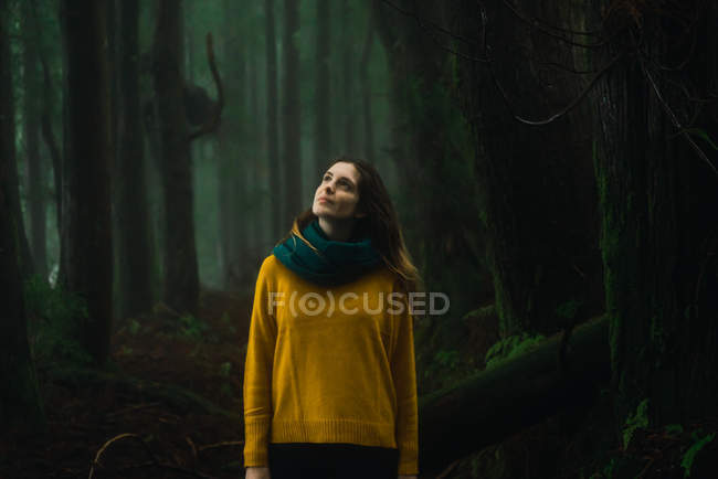 Mulher de camisola amarela olhando para cima na floresta — Fotografia de Stock