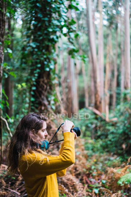 Вид сбоку на молодую женщину-фотографа, стоящую в лесу и фотографирующую камерой . — стоковое фото
