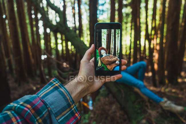 Рука со смартфоном снимает красивую женщину, отдыхающую на багажнике в солнечном лесу . — стоковое фото
