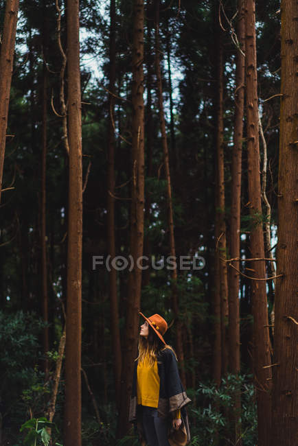 Donna in cappello posa nel bosco — Foto stock