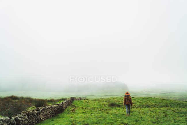 Visão traseira da mulher andando em campos nebulosos verdes — Fotografia de Stock