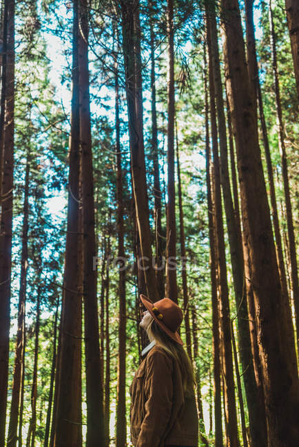 Mujer posando sobre fondo de troncos de árbol - foto de stock