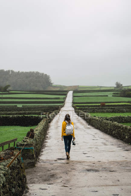 Back view of tourist woman with backpack walking on road in green fields. — Stock Photo
