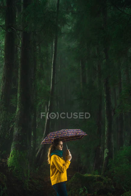 Seitenansicht einer Frau mit Regenschirm im windigen Wald — Stockfoto