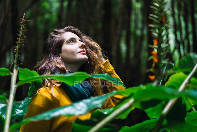 Женщина позирует в лесу и смотрит вверх — стоковое фото