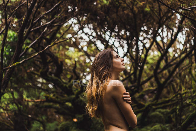 Sensual nude model posing in green trees — Stock Photo