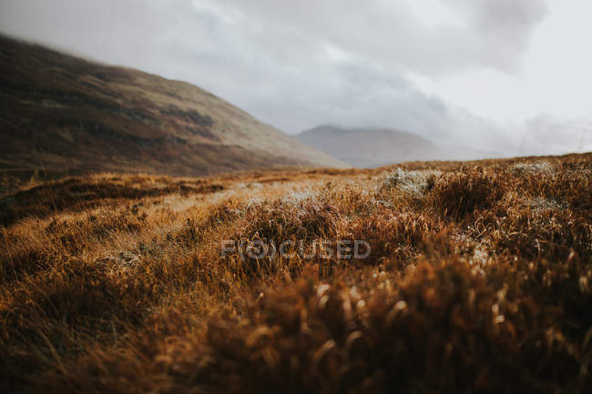 Scenic view to dry meadow in cloudy day at hillside. — Stock Photo