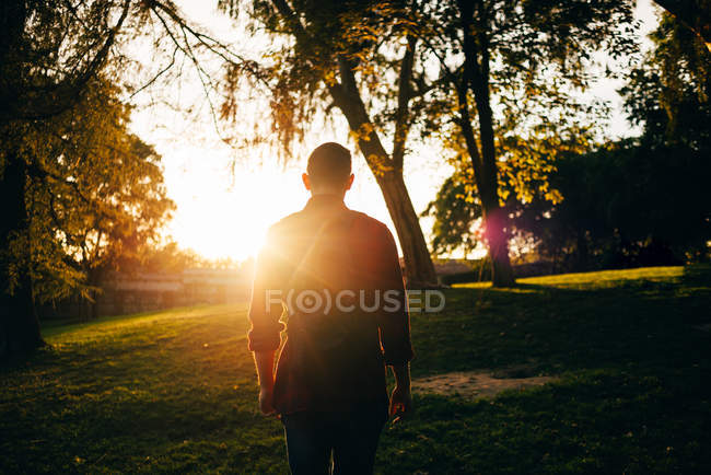 Вид ззаду чоловік, що ходить по газону в сонячному парку — стокове фото