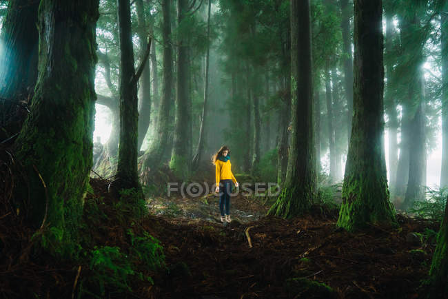 Femme posant en veste jaune dans la forêt et regardant vers le bas — Photo de stock