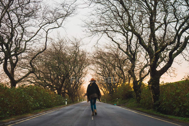 Vue arrière de la femme marchant seule sur une route pavée dans une ruelle d'hiver avec des arbres nus . — Photo de stock