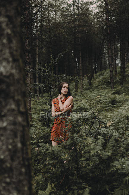 Брюнетка дівчина плаття становища в моторошний ліс — стокове фото