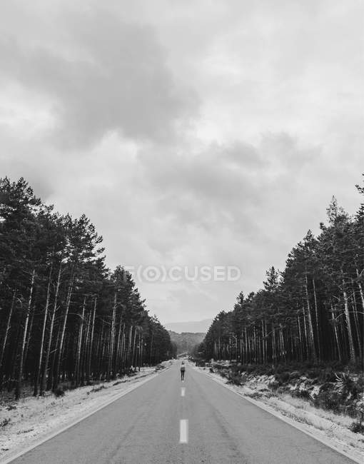 Unrecognizable person standing on asphalt road in forest. — Stock Photo