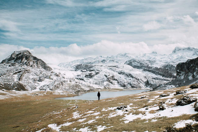 Rückansicht eines Touristen, der auf einem Feld am See in schneebedeckten Bergen steht. — Stockfoto