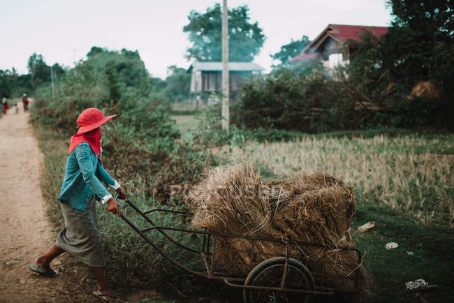 LAOS, 4000 ISLANDS AREA: Peasant carrying dried plants on cart while walking through village. — Stock Photo