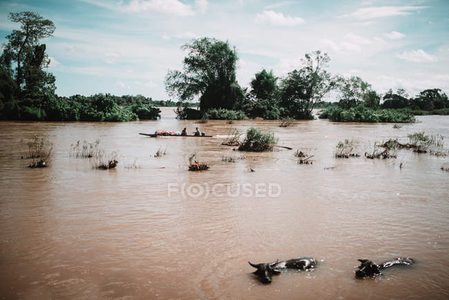 LAOS, 4000 ILHAS ÁREA: Aldeias que se deslocam em barco no rio sujo — Fotografia de Stock