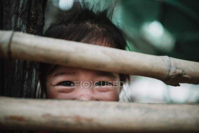 LAOS, 4000 ISLAS ÁREA: Chica alegre mirando a la cámara a través de la cerca rural - foto de stock