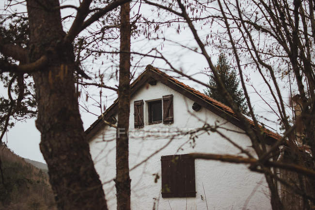 Extérieur de la maison rurale vu à travers les branches nues — Photo de stock