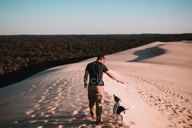 Vue arrière de l'homme jouant avec le chien sur le sable dans la journée ensoleillée . — Photo de stock
