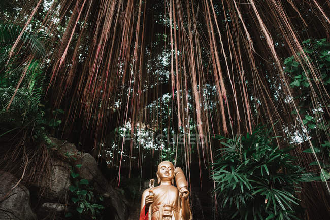 Statua tradizionale dorata del Buddha collocata nella foresta tropicale verde . — Foto stock