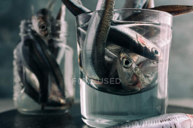Close up view of fresh anchovies in glass of water — Stock Photo