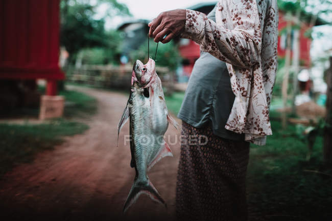 Sección media de la mujer sosteniendo peces grandes mientras camina por la calle del pueblo . - foto de stock