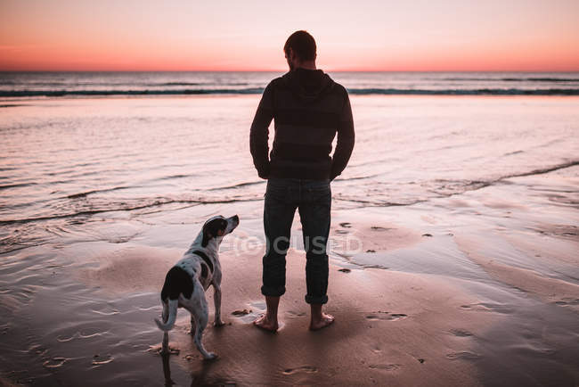 Back view of man standing at seashore and looking at dog beside — Stock Photo